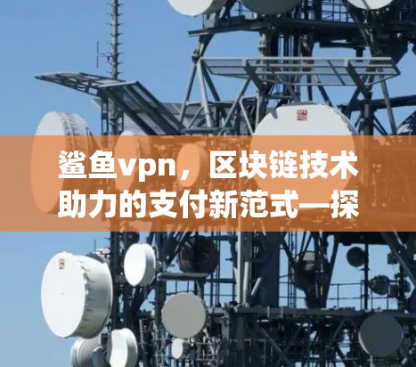 鲨鱼vpn,区块链技术助力的支付新范式—探索虚拟支付的未来 鲨鱼vpn,区块链技术助力的支付新范式—探索虚拟支付的未来