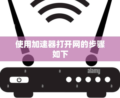 使用加速器打开网的步骤如下