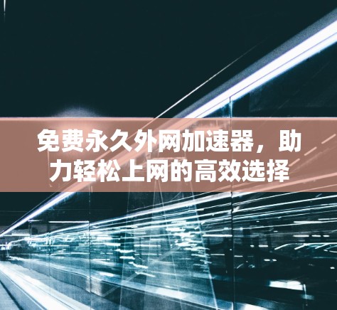 免费永久外网加速器,助力轻松上网的高效选择 免费永久外网加速器,助力轻松上网的高效选择