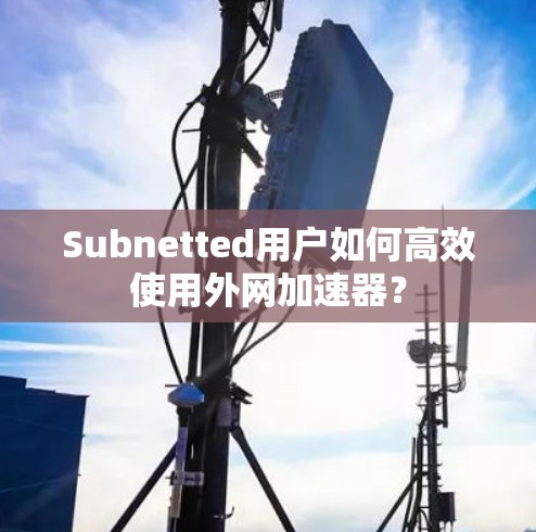 Subnetted用户如何高效使用外网加速器？