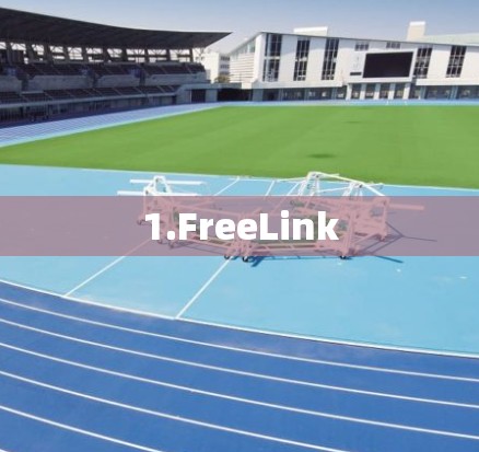 1.FreeLink 1.FreeLink